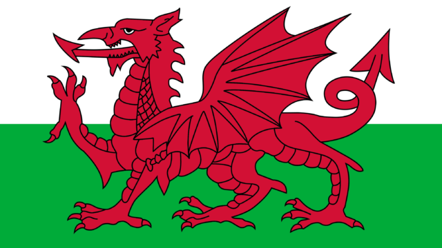 Wales Flag120x180